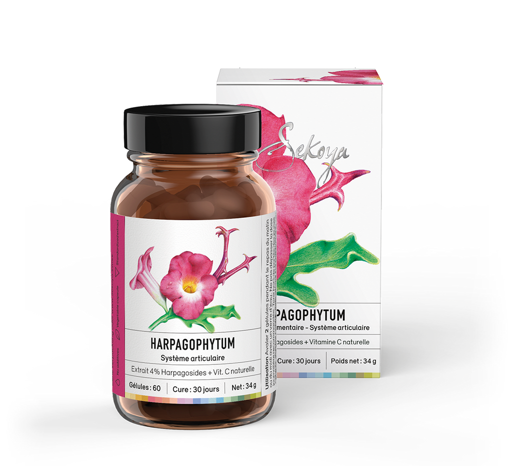 Harpagophytum - Sekoya